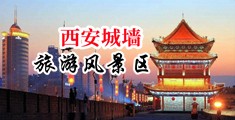 男生操女生污网站中国陕西-西安城墙旅游风景区